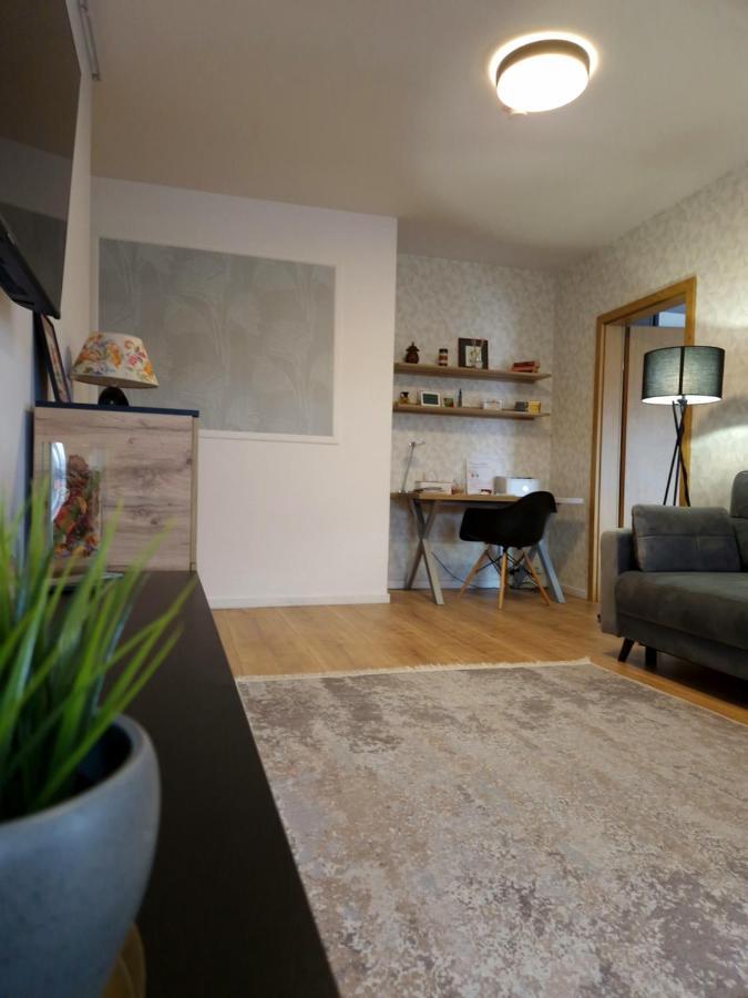 City Apartment Dorobantilor クルージュ＝ナポカ エクステリア 写真