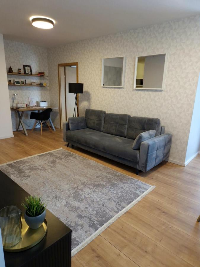 City Apartment Dorobantilor クルージュ＝ナポカ エクステリア 写真