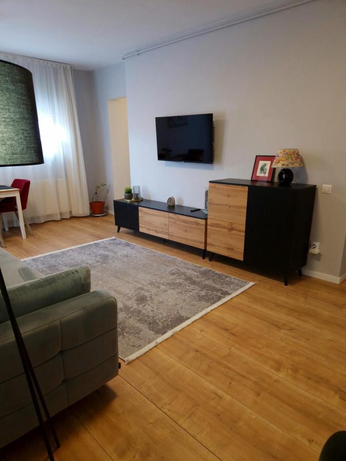 City Apartment Dorobantilor クルージュ＝ナポカ エクステリア 写真