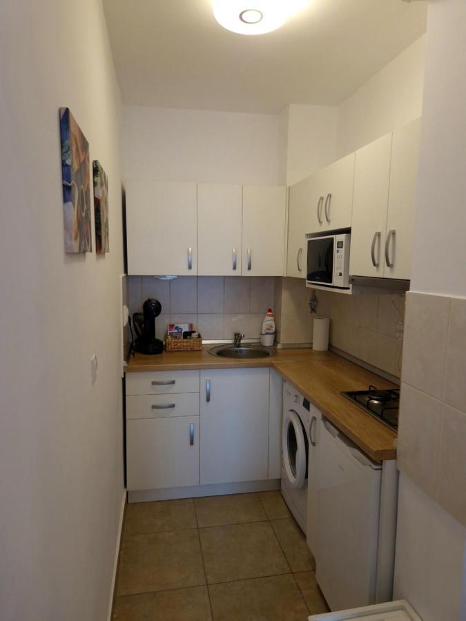 City Apartment Dorobantilor クルージュ＝ナポカ エクステリア 写真